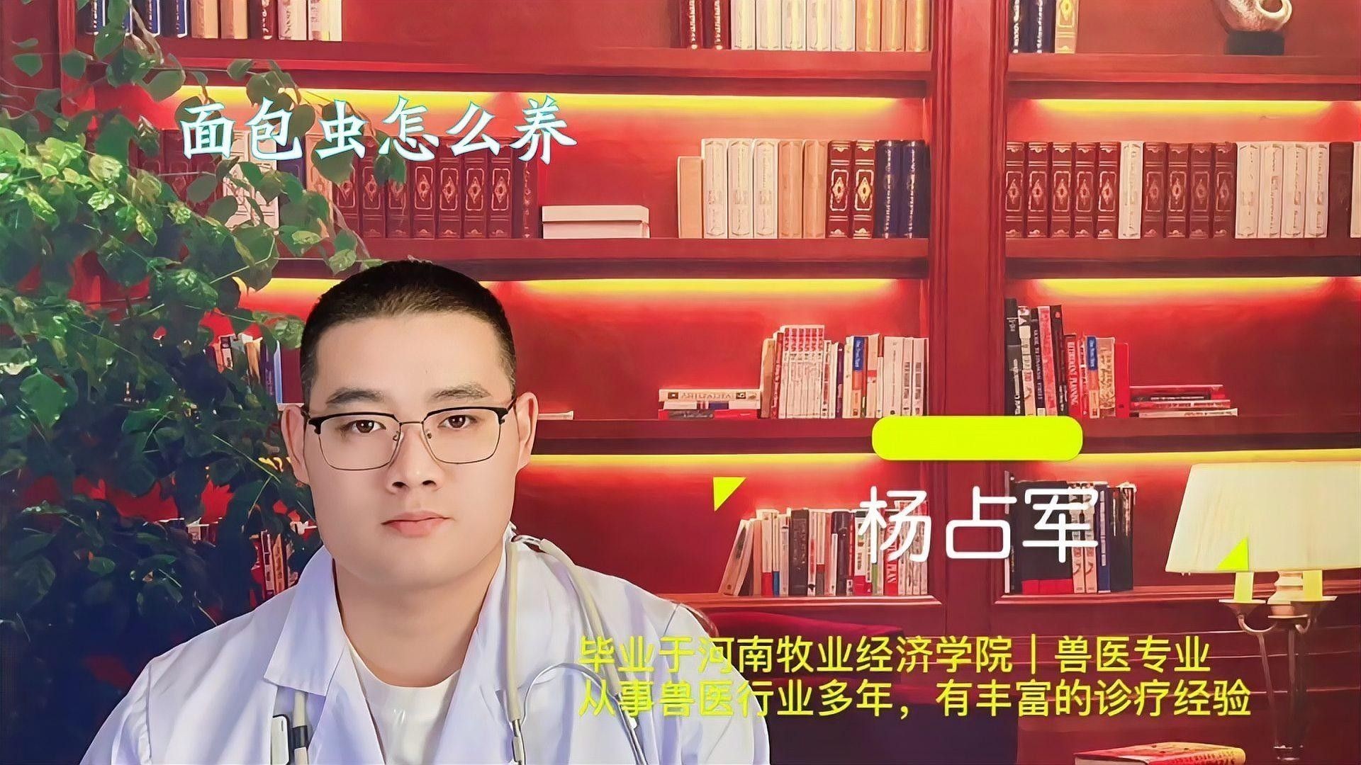 面包蟲喂食量如何控制？