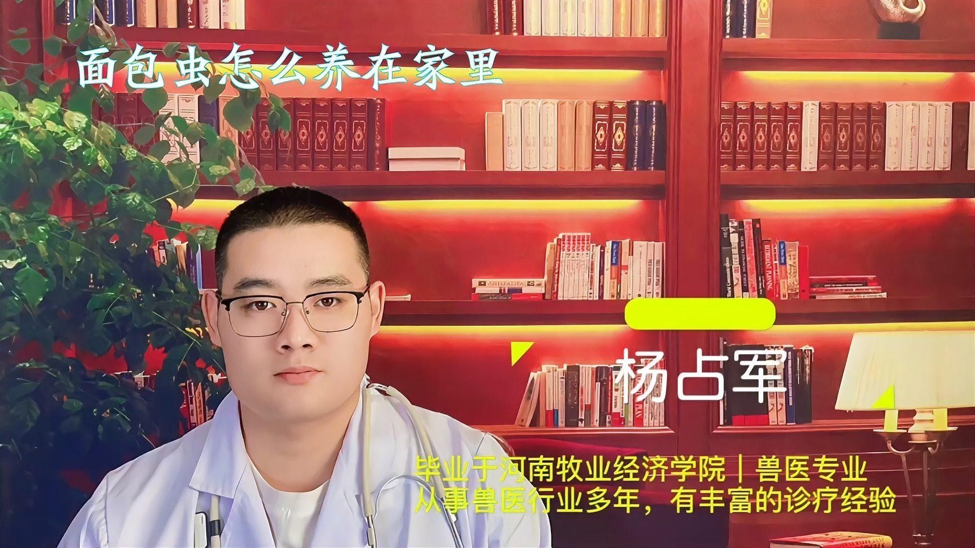 面包蟲喂食量如何控制？