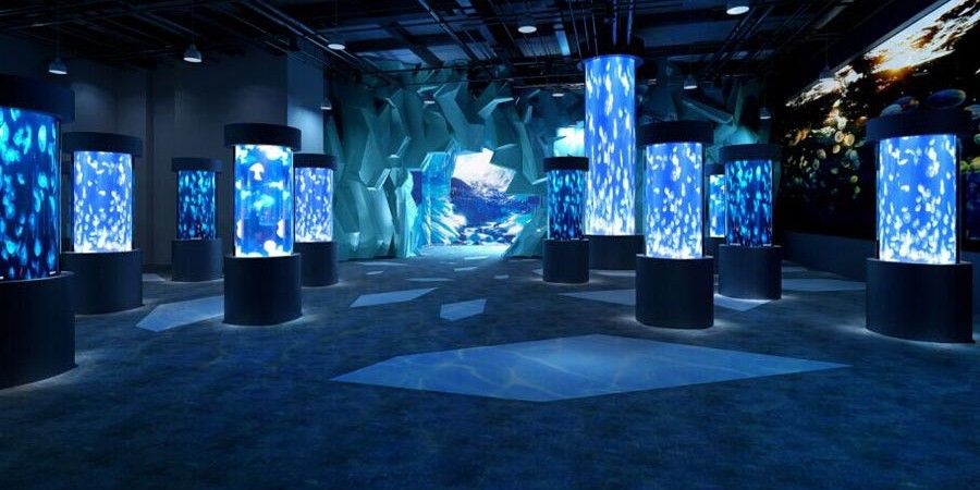 北碚哪個水族館龍魚好？祥龍魚場龍魚（重慶北碚區祥龍魚場）