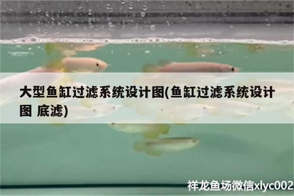 大型魚缸過濾系統設計圖(魚缸過濾系統設計圖底濾)