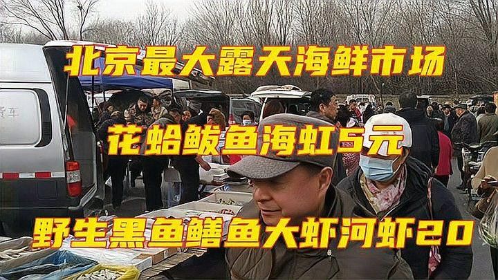 如何挑選新鮮的海鮮？（如何挑選新鮮海鮮）