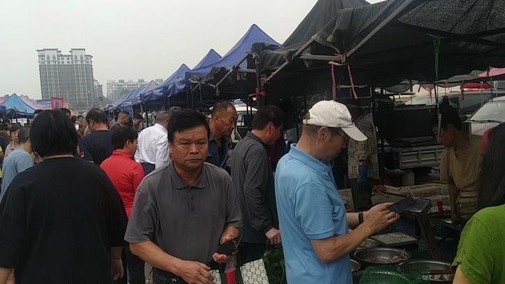 如何挑選新鮮的海鮮？（如何挑選新鮮海鮮）