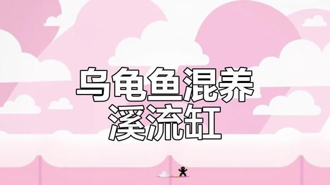 草金魚和龜混養需要多大的缸？（萌寵百科小團團,烏龜和金魚能同缸養嗎）