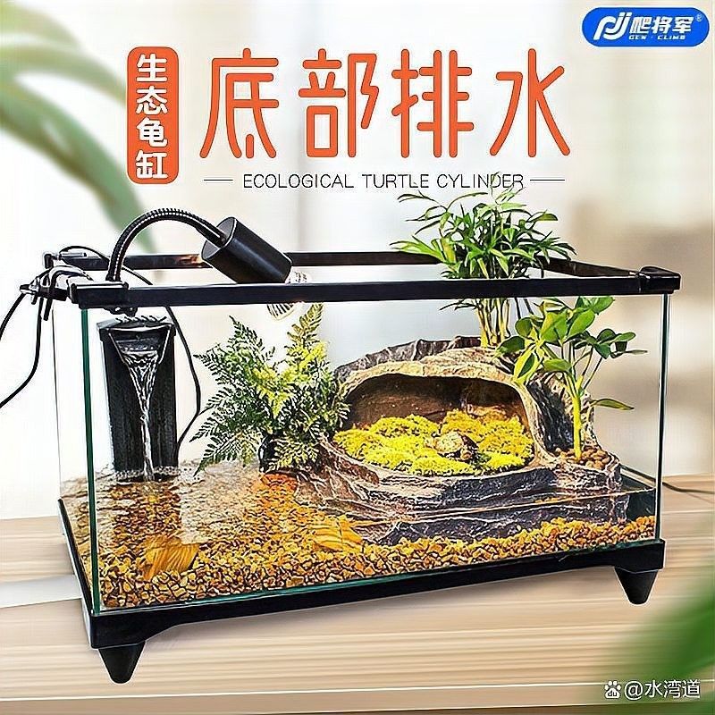 草金魚和龜混養需要多大的缸？（萌寵百科小團團,烏龜和金魚能同缸養嗎）
