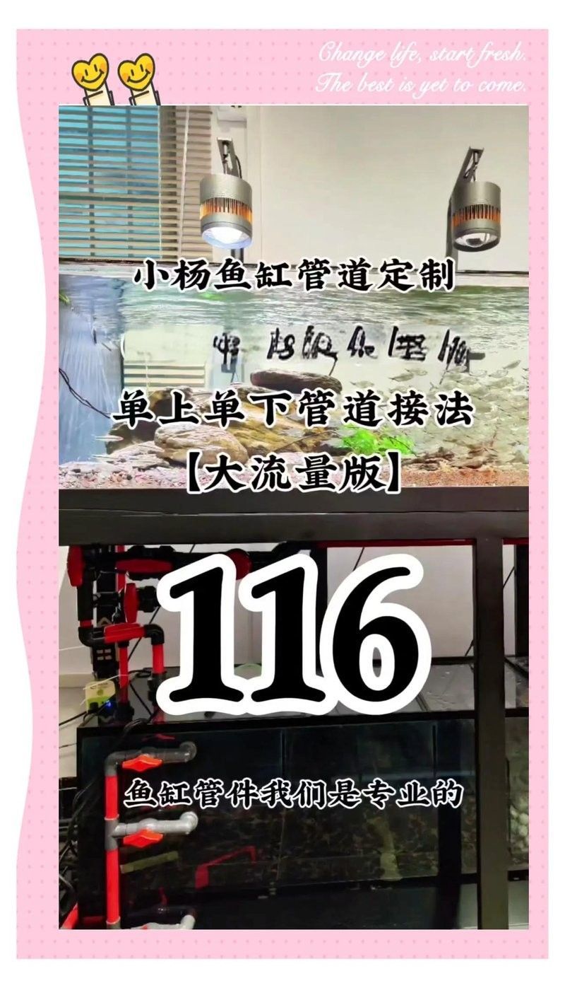 《風流相師》龍生小說的情節大綱,《風流相師》中劉衍有哪些主要技能 龍魚百科 第1張 《風流相師》龍生小說的情節大綱,《風流相師》中劉衍有哪些主要技能 《風流相師》龍生小說的情節大綱,《風流相師》中劉衍有哪些主要技能 龍魚百科 第1張