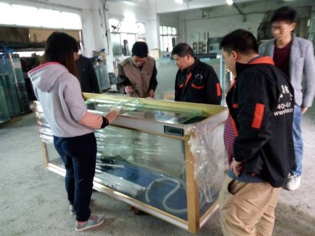 給我一份詳細的匯龍魚缸安裝教程（匯龍品牌魚缸安裝教程）