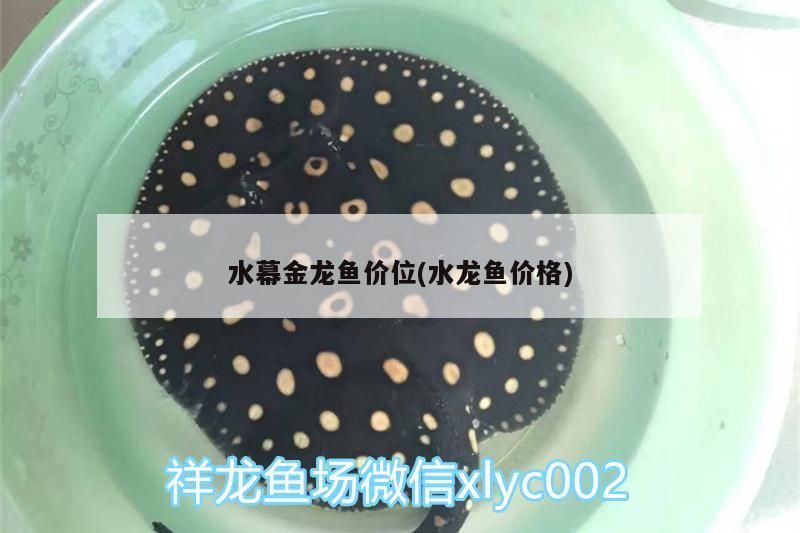 水幕金龍魚價位(水龍魚價格) 水幕金龍魚價位(水龍魚價格) 觀賞魚百科