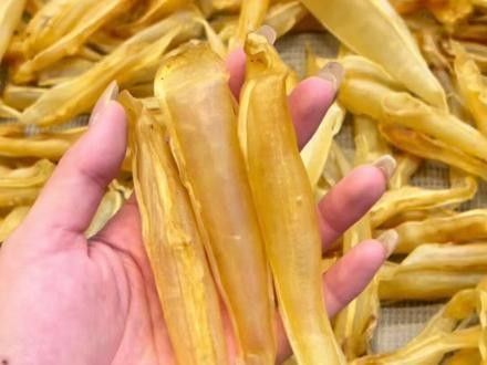 泡發金龍魚膠需要多長時間？（泡發金龍魚膠的時間和方法）