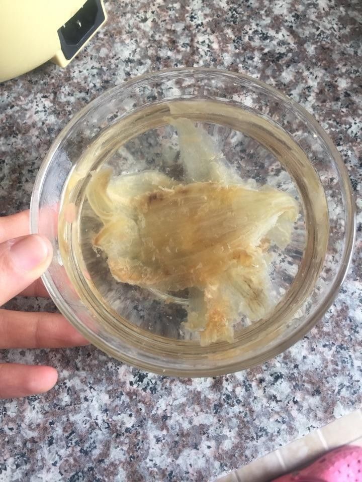 泡發金龍魚膠需要多長時間？（泡發金龍魚膠的時間和方法）
