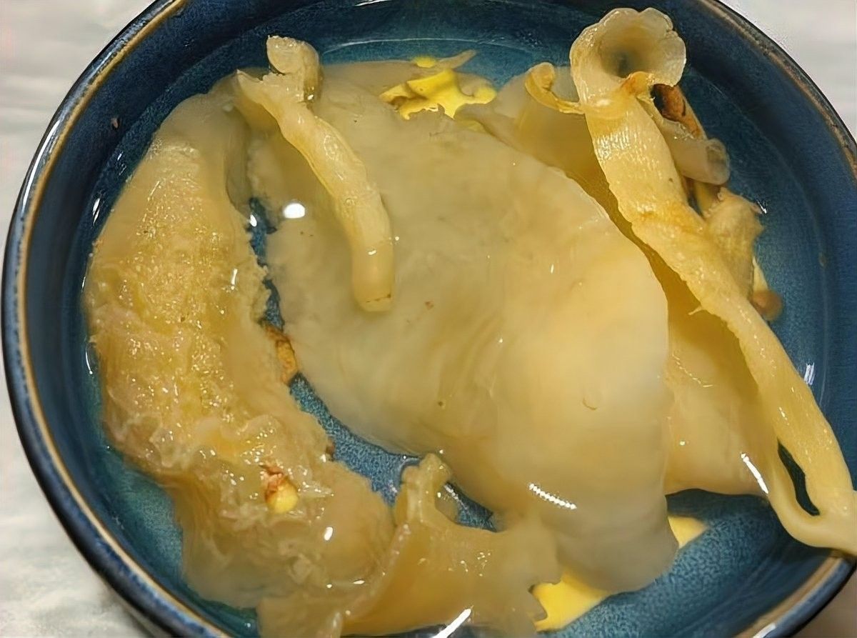 泡發金龍魚膠需要多長時間？（泡發金龍魚膠的時間和方法）