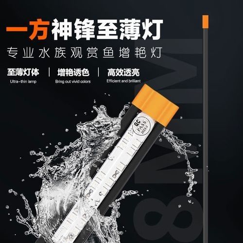 給我推薦幾款適合紅龍魚的魚缸（幾款適合紅龍魚的魚缸推薦）