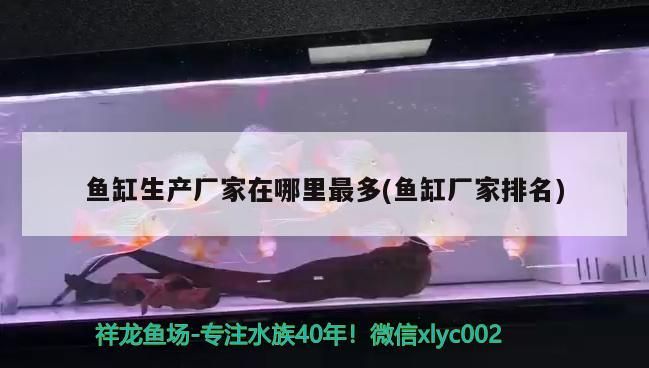 紅龍魚身上有白色絮狀物如何治療好（紅龍魚身上發白怎么了）