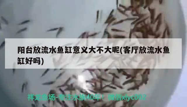 陽臺放流水魚缸意義大不大呢(客廳放流水魚缸好嗎)