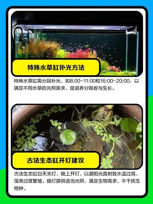 龍魚魚缸的光照時(shí)間如何調(diào)整