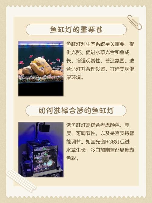 龍魚魚缸的光照時(shí)間如何調(diào)整