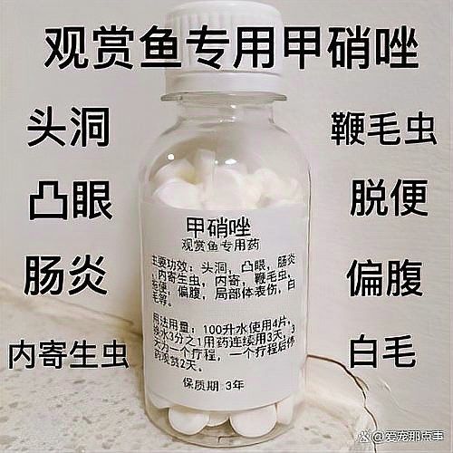 龍魚細(xì)菌性腸炎的早期癥狀是什么