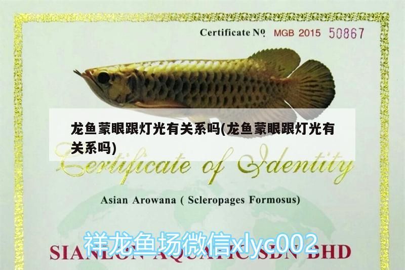 龍魚(yú)蒙眼跟燈光有關(guān)系嗎(龍魚(yú)蒙眼跟燈光有關(guān)系嗎) 龍魚(yú)蒙眼跟燈光有關(guān)系嗎(龍魚(yú)蒙眼跟燈光有關(guān)系嗎) 觀賞魚(yú)百科