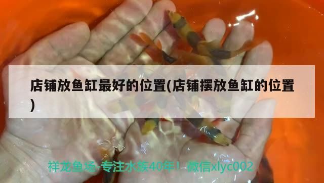 店鋪放魚缸最好的位置(店鋪擺放魚缸的位置)