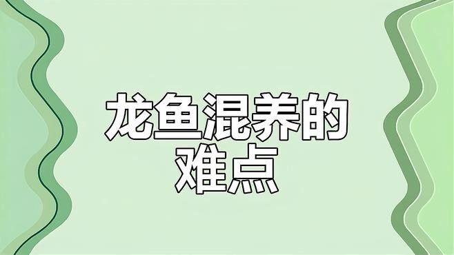 龍魚混養視頻大全（魚混養視頻大全：探索龍魚與其他魚類的和諧共處）
