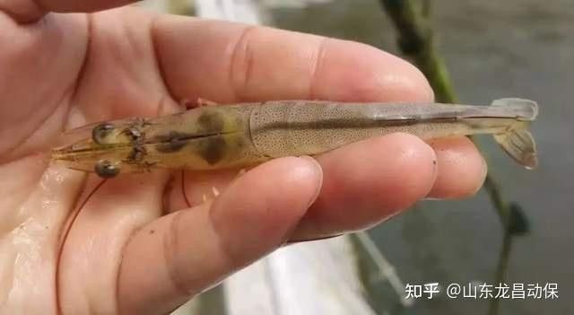 如何維護水質穩定