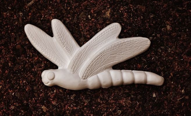 細(xì)線銀版魚(yú)換水操作指南，細(xì)線銀版魚(yú)換水操作 細(xì)線銀版魚(yú)換水操作指南，細(xì)線銀版魚(yú)換水操作 觀賞魚(yú)百科 第3張