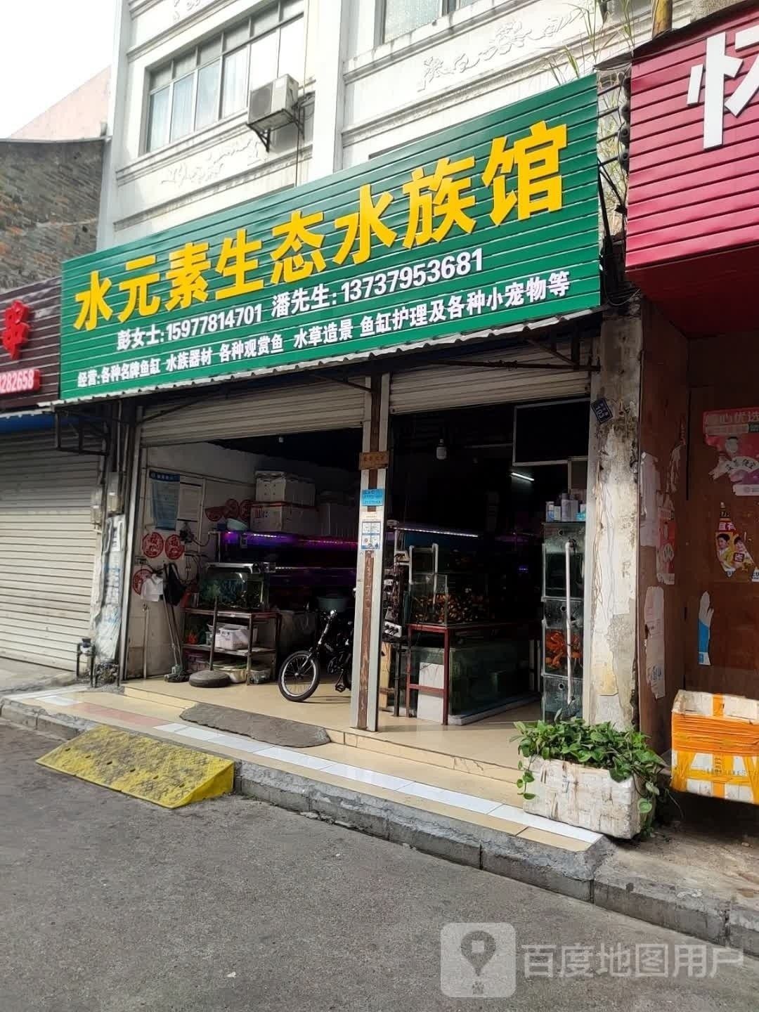 南丹哪個水族館龍魚好？祥龍魚場龍魚