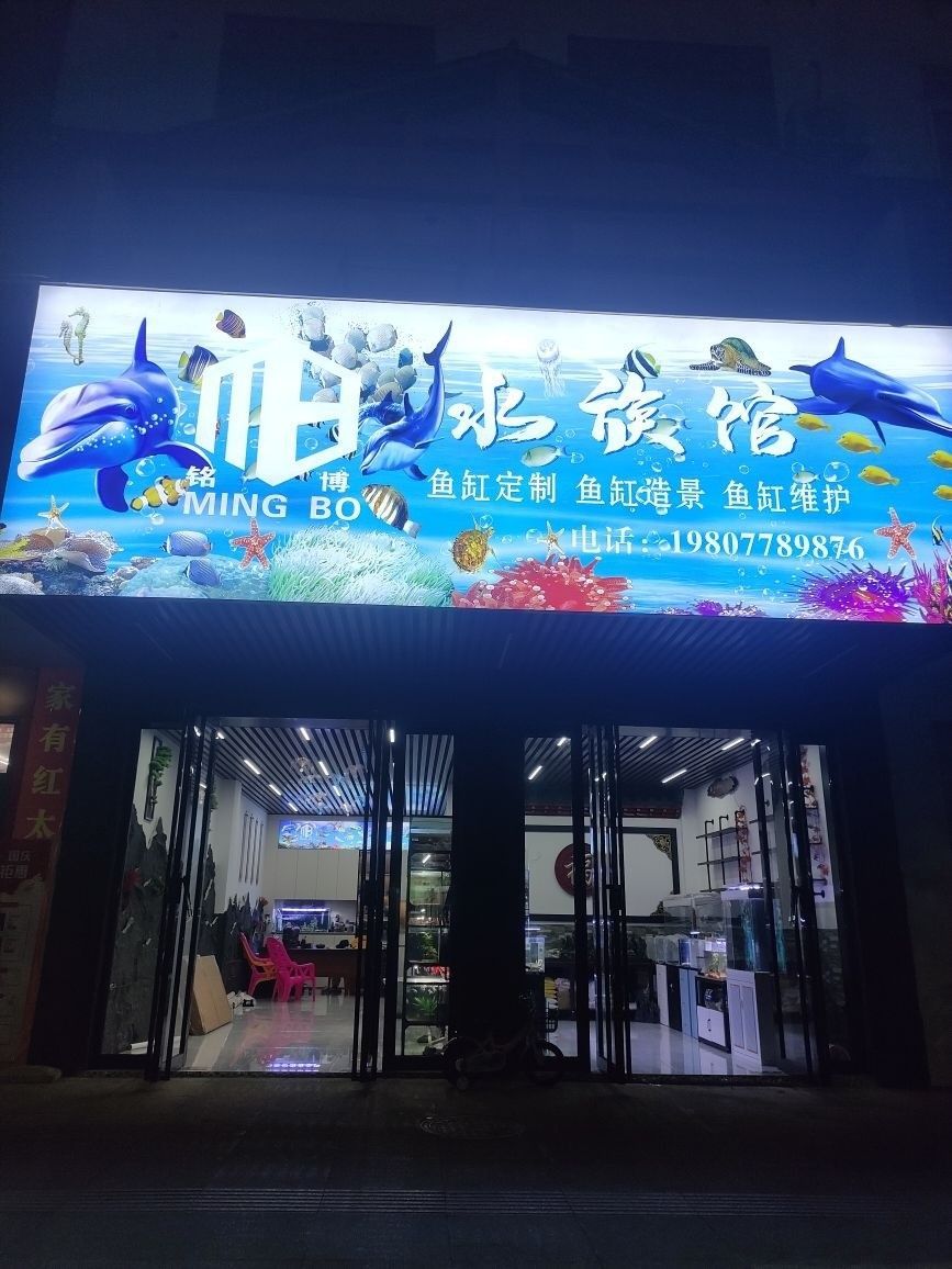 南丹哪個水族館龍魚好？祥龍魚場龍魚