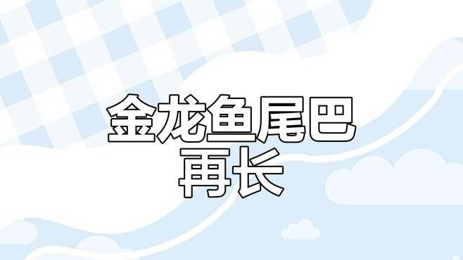 龍魚散尾后需要隔離多久？ 龍魚散尾后需要隔離多久？ 龍魚百科 第1張