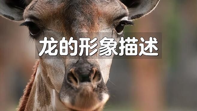 龍神形象在藝術中如何表現