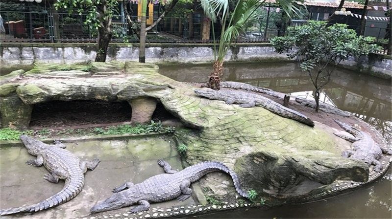 鱷龍谷觀賞魚館的營業(yè)時間是？（昆山鱷魚谷游玩攻略）