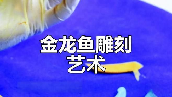 金龍魚雕刻有哪些著名作品（著名的金龍魚雕刻作品：**《金龍魚》）