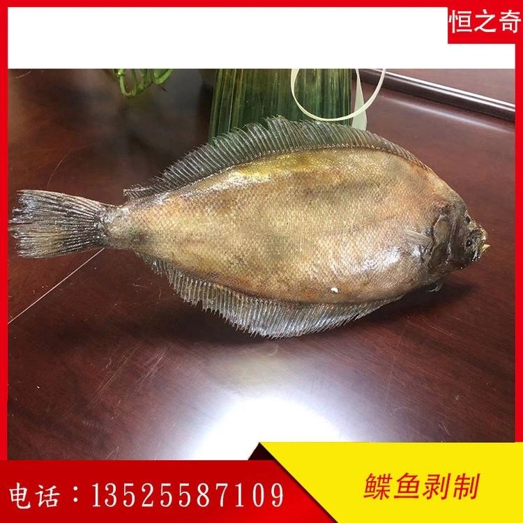 龍魚標(biāo)本的價(jià)格是多少 龍魚標(biāo)本的價(jià)格是多少 龍魚百科 第13張