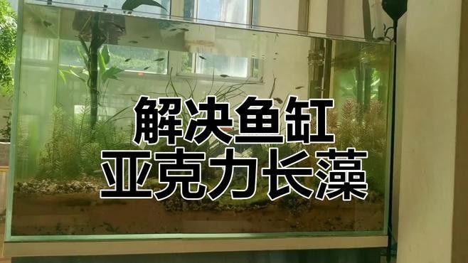 亞克力海水缸如何保養？（亞克力海水缸的保養）