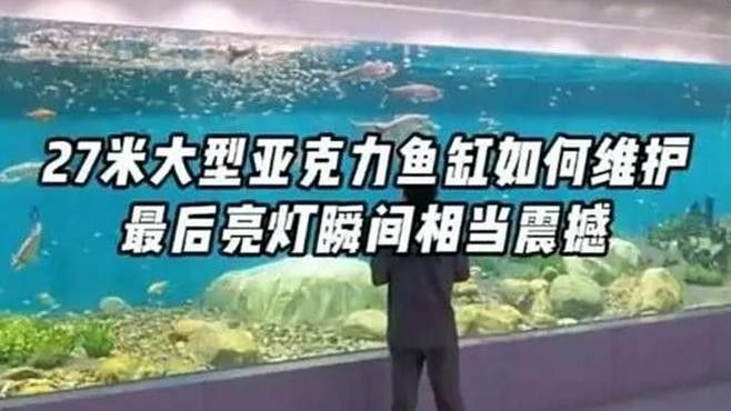 亞克力海水缸如何保養？（亞克力海水缸的保養）