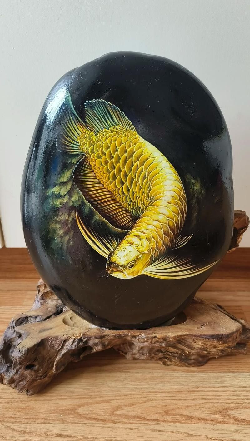 金龍魚攝影作品欣賞（龍魚攝影作品欣賞）