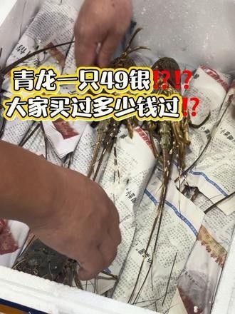 汕頭龍魚批發市場有哪些知名的商家（汕頭龍魚批發市場）