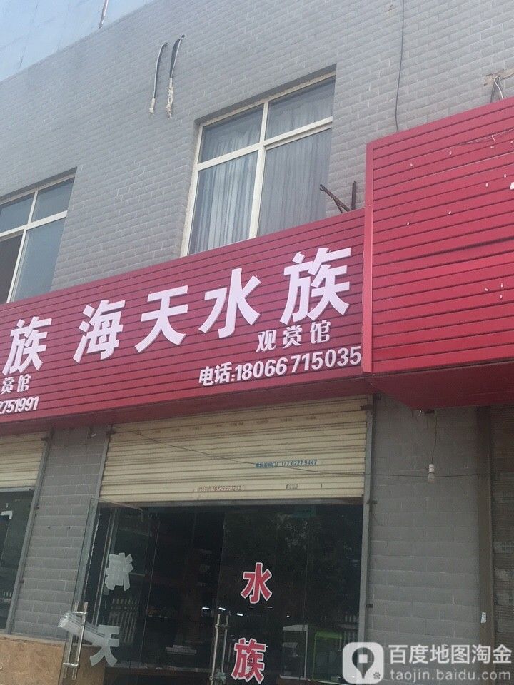 未央哪個水族館龍魚好？祥龍魚場龍魚（未央區哪個水族館龍魚好）