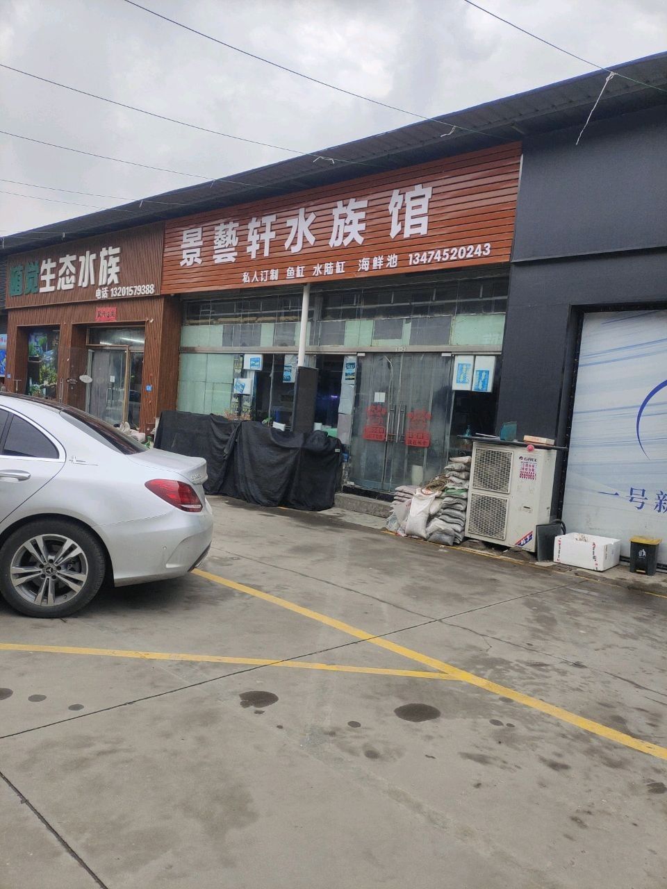 未央哪個水族館龍魚好？祥龍魚場龍魚（未央區哪個水族館龍魚好）