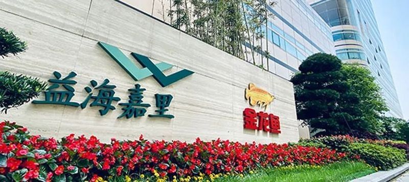 金龍魚2025年上半年業績如何 金龍魚2025年上半年業績如何 龍魚百科 第1張