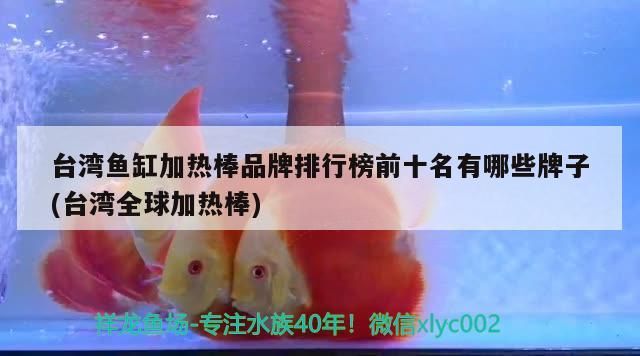 臺灣魚缸加熱棒品牌排行榜前十名有哪些牌子(臺灣全球加熱棒)（臺灣魚缸加熱棒什么牌子好臺灣魚缸加熱棒品牌排行榜前十名有哪些）