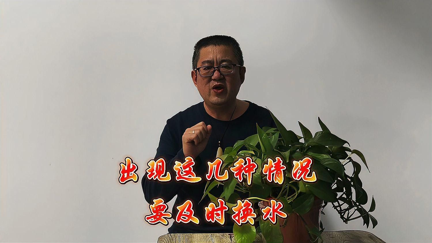 如何判斷魚缸是否需要換水？（如何判斷魚缸是否需要換水）