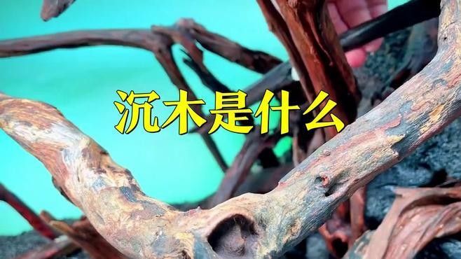 沉木和假山哪個更耐用？（臺州人工假山-假山噴泉制作廠家興超景觀制作廠家）
