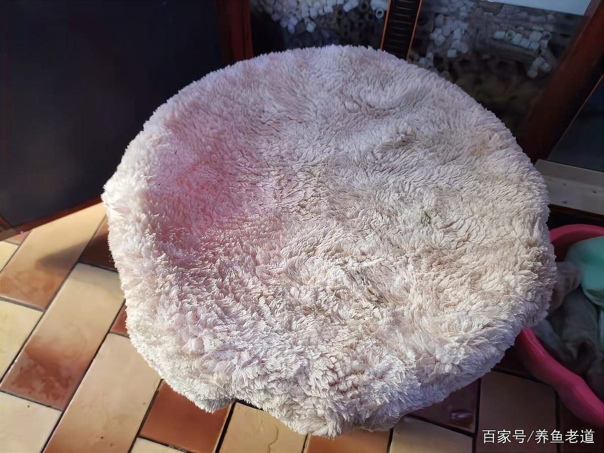濾材清洗后需要晾干嗎？（濾材清洗后是否需要晾干）