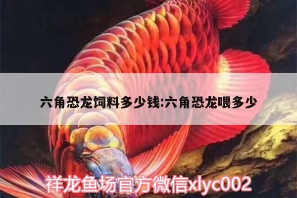 六角恐龍飼料多少錢:六角恐龍喂多少（六角恐龍的價格） 六角恐龍飼料多少錢:六角恐龍喂多少（六角恐龍的價格） 觀賞魚百科