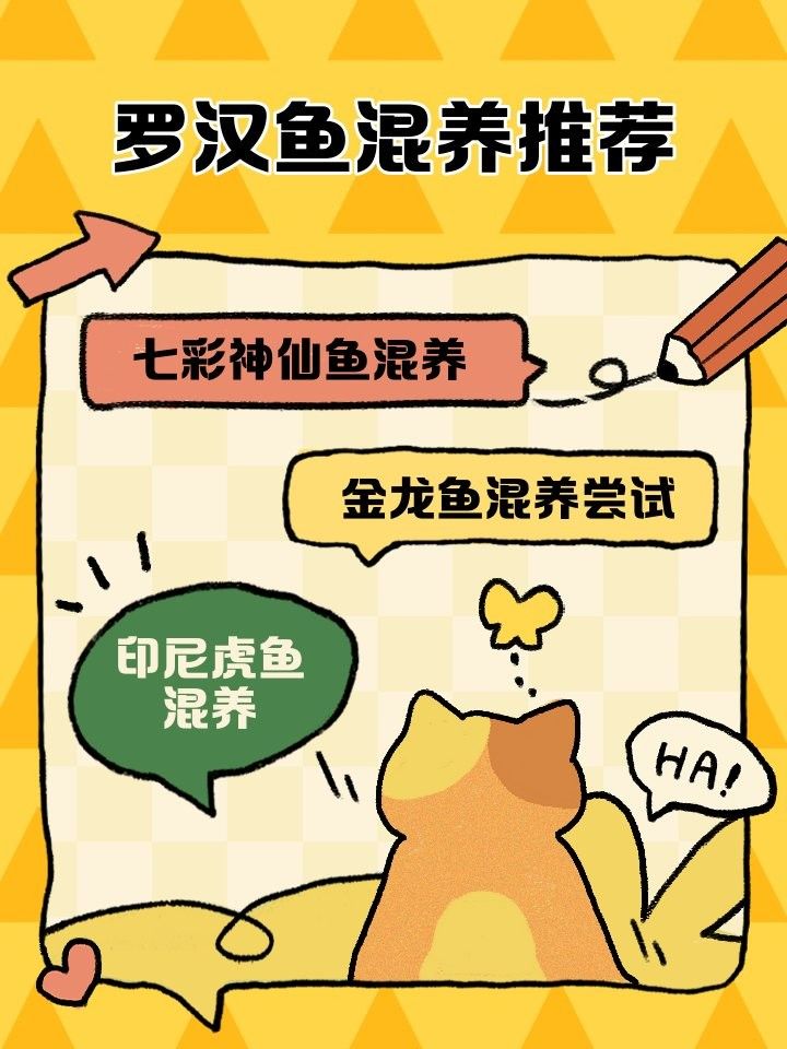 有哪些魚類可以與羅漢魚混養？（可以與羅漢魚混養的魚類是一種體型龐大、色彩斑斕的熱帶觀賞魚）