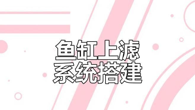 滴流過濾的具體安裝步驟（上濾滴流盒魚缸安裝全攻略,輕松搞定魚缸過濾器）