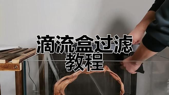 滴流過濾的具體安裝步驟（上濾滴流盒魚缸安裝全攻略,輕松搞定魚缸過濾器）