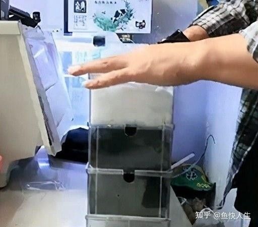 滴流過濾的具體安裝步驟（上濾滴流盒魚缸安裝全攻略,輕松搞定魚缸過濾器）
