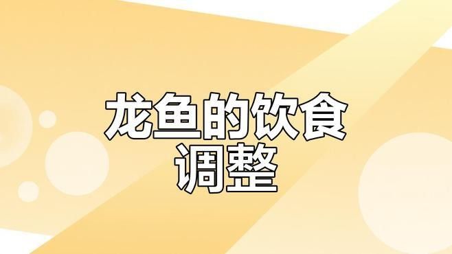 龍魚吃魚糧需要泡水嗎（龍魚吃魚糧是否需要泡水的問題）