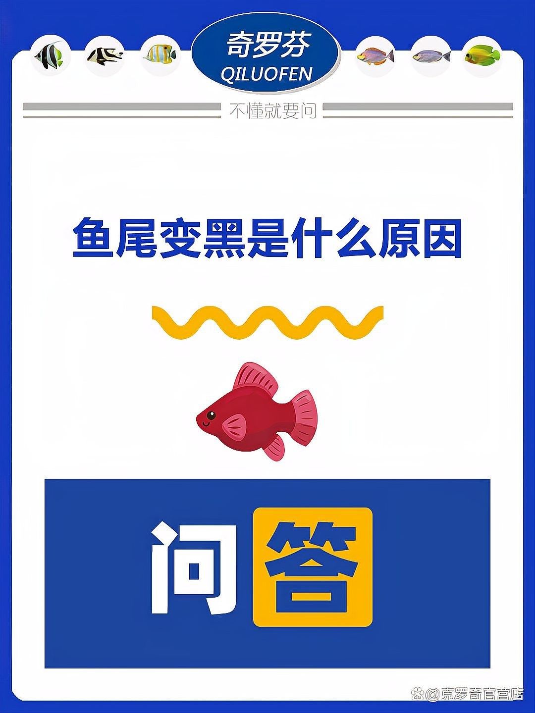 紅龍魚鰭發黑會自愈嗎？（紅龍魚鰭發黑會自愈嗎）